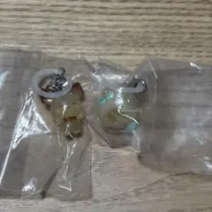 ポケピース ポケモン めじるしアクセサリー モクローピチュー セット まとめ売り