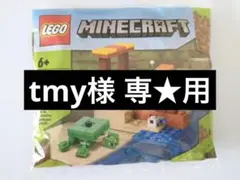 tmy様専★用 ぴーち