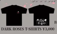 ディオーラ DIAURA Tシャツのサムネイル