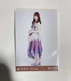 乃木坂46 阪口珠美　生写真 2023 June 11thBDライブ衣装