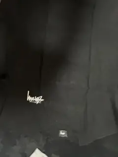 Stussy ステューシー Tシャツ ブラック L