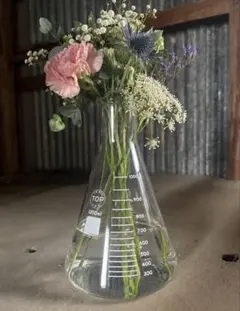 ガラスフラスコ 200ml 10個セット - メルカリ