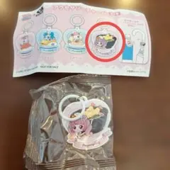 キャッチ！ティニピン アクセサリーチャーム プヨンピン