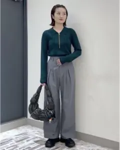 【新品・タグ付】JEANASIS ハーフZIPポロニット