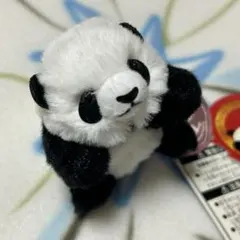 2025年最新】上野動物園 パンダ ぬいぐるみの人気アイテム - メルカリ