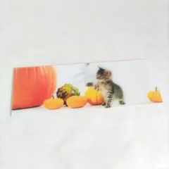 Item thumbnail for item 9474ee1e-6f34-4a30-9b56-79a7acd04af9