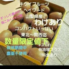 ❇️10キウイフルーツ　　わけあり　小玉　箱いっぱい　コンパクト　山梨県産
