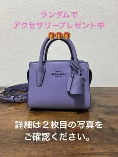 【即日・匿名配送】COACH アンドレア　ミニキャリーオール　ラベンダー