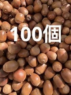 Item thumbnail for item f953dc17-7c41-41b1-a771-cc3559fd3d7b