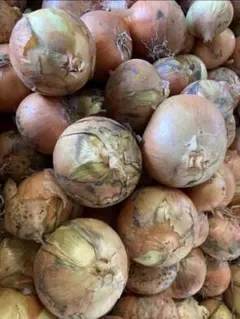 徳ちゃん様専用ページになります！