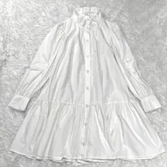 極美品 スナイデル ブラウス チュニック フリルネック ティアード ボリューム袖