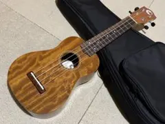 Item thumbnail for item 3cbe3236-36fa-4c27-bf81-649c18322eed