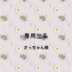 さっちゃん様 リクエスト 2点 まとめ商品