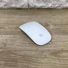 APPLE MAGICMOUSE MB829J/A