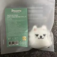 ヨンモン　フェイスキーリング　スビン　TXT