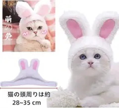 2 点限り✨ 猫 犬用帽子 着ぐるみ コスプレ うさぎ カチューシャ　被り物
