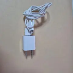 アップル純正充電Lightningケーブル、エレコムアダプター、充電器2ポート他