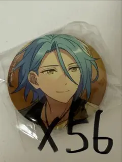 あんスタ HiMERU テーマ 缶バッジ 56点