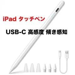 iPad ペン タッチペン USB-C 高感度 傾き感知