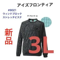 Item thumbnail for item cc486ef4-421d-4b56-91ad-13c4f2ca3313