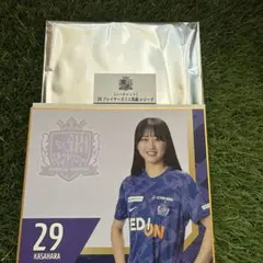 2025年最新】サンフレッチェ広島 レジーナ 色紙の人気アイテム - メルカリ