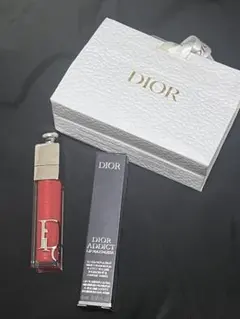 【袋付き】DIOR ADDICT リップマキシマイザー019