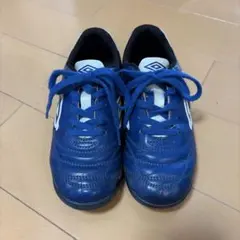 Item thumbnail for item 0e0f6af2-6bd9-417d-9552-b03df5931507