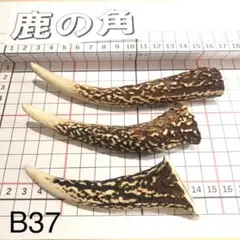szWorK's様 リクエスト 2点 まとめ商品