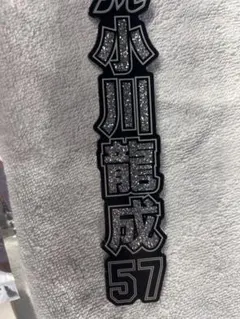 Item thumbnail for item c67d8e66-a93c-4ade-9222-b0514ee80850