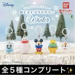 ディズニーめじるし アクセサリー winter 全5種 コンプリート - メルカリ