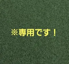 定価9900円　シップスエニィ　テープヤーンシアードルマンプルオーバー　春ニットのサムネイル