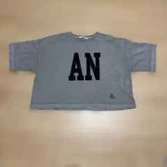 ピュアセシン　PUAL CE CIN 　クロップドTシャツのサムネイル