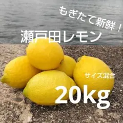 2026年最新】瀬戸田レモンの人気アイテム - メルカリ