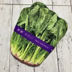 ほうれん草ポーチ/野菜ポーチ/ペンケース/ハンドメイド【42】
