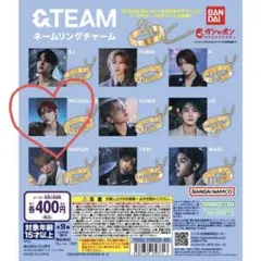 &TEAM NICHOLAS ネームリングチャーム