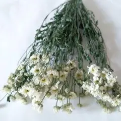 煌様 リクエスト 5点 まとめ商品