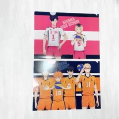 ハイキュー 音駒・烏野クリアファイル