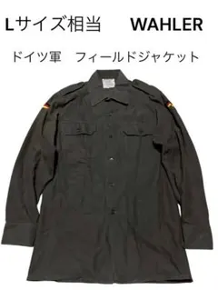 Item thumbnail for item 2f759d5a-6cbc-400d-9116-7af85a32aaab