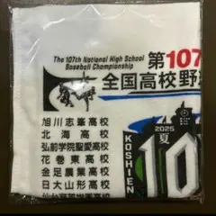 全国高校野球選手権大会 タオル