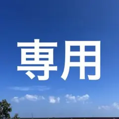 いばら （プロフもみて下さいね）様 リクエスト 3点 まとめ商品