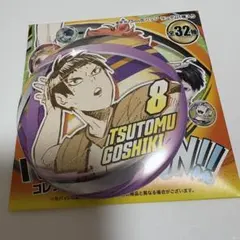 ハイキュー ファンパーク コレクション缶バッジ FUN 五色