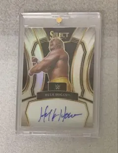 2026年最新】ハルク・ホーガン サインの人気アイテム - メルカリ