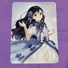 わたくしのことが大嫌いな義弟が護衛騎士になりました　フロース　8周年　特典