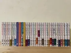 パラレルパラダイス 1巻〜29巻 最新刊セット - メルカリ