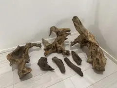流木 7個セット 自然な形状