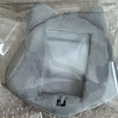 &TEAM EJ フォトカードホルダー Back to Life ポップアップ