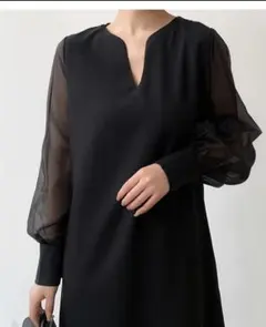 ブラック シースルー長袖ドレス