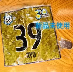 Item thumbnail for item 4f915913-35a9-4373-8379-d67fe27e1ea3