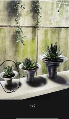 2025年最新】masses m&m 鉢の人気アイテム - メルカリ