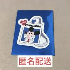 さまのすけ様 リクエスト 2点 まとめ商品